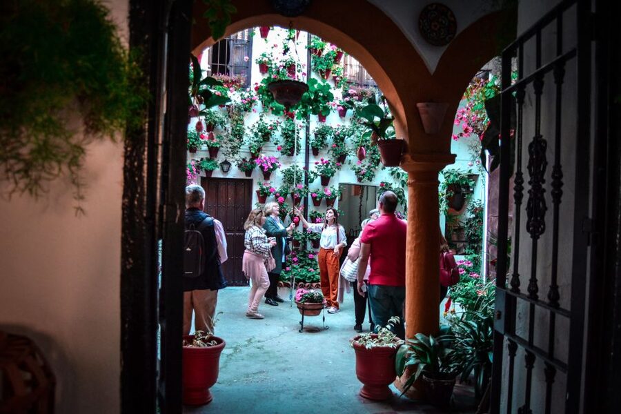 Patios of Cordoba Walking Tour - Key points to know before you book