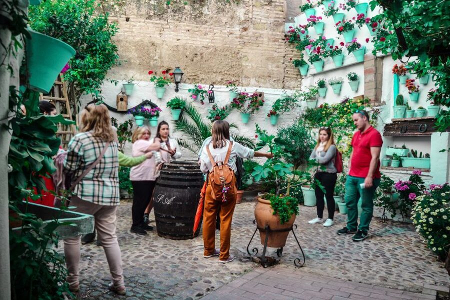 Patios of Cordoba Walking Tour - Flowers, mosaics, and the work behind them