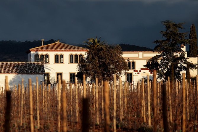 Penedes Wine & Cava Tasting & 4WD Vineyards Tour from Barcelona - The cellar visits require comfortable shoes