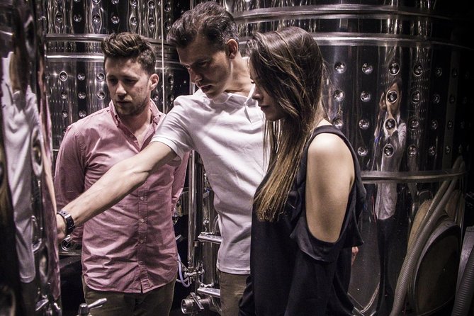Penedes Wine & Cava Tasting & 4WD Vineyards Tour from Barcelona - Guides make the difference