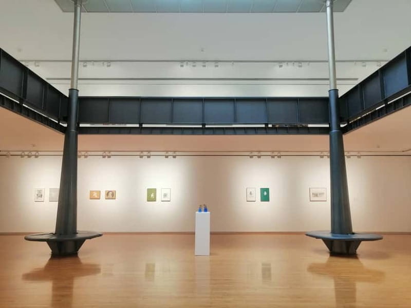 Picasso Museum and Walking Tour Plus Wine Tasting Upgrade - Why this Picasso tour works