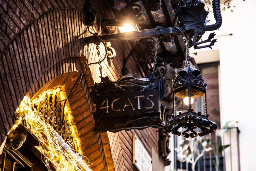 Picasso Museum and Walking Tour Plus Wine Tasting Upgrade - Carrer Montcada and the museum entrance