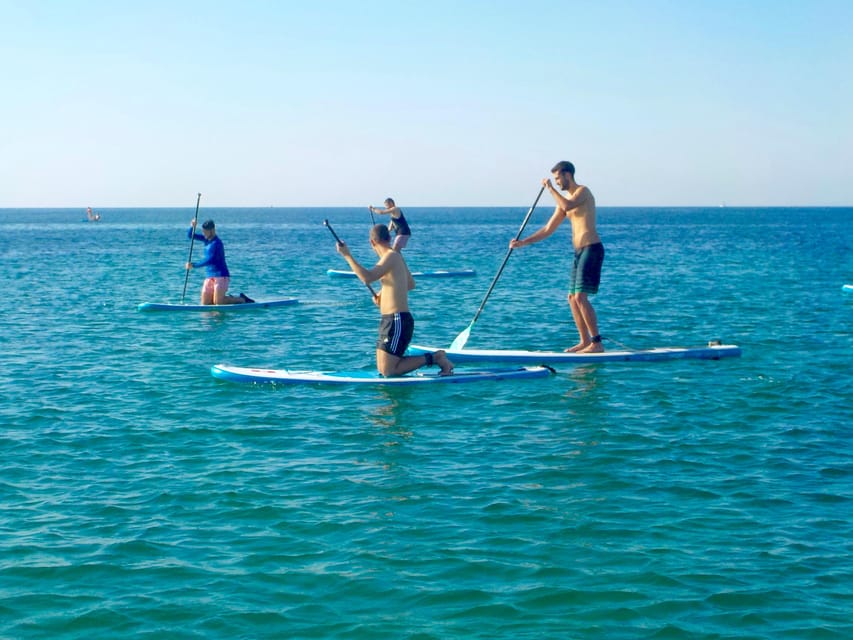 Playa Palma: Stand-up Paddleboard Rental - Who will enjoy this Palma water activity?