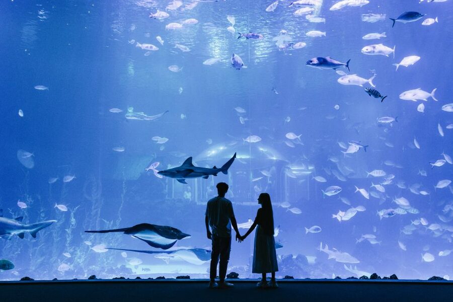 Poema del Mar Skip-the-Line Ticket - La Jungla and the tropical forest setting