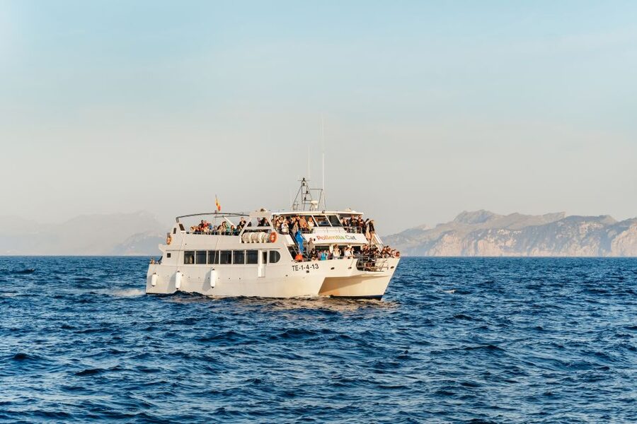 Port d'Alcudia: Sunrise at Sea & Dolphin Watching Boat Tour - Setting out from Port d’Alcudia before sunrise