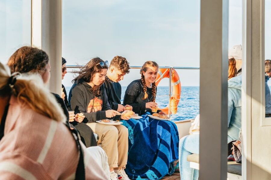 Port d'Alcudia: Sunrise at Sea & Dolphin Watching Boat Tour - Is $69 good value for this Alcudia boat tour?