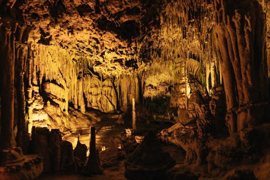 Porto Cristo: Caves of Hams Entry Ticket - Who will enjoy this most?