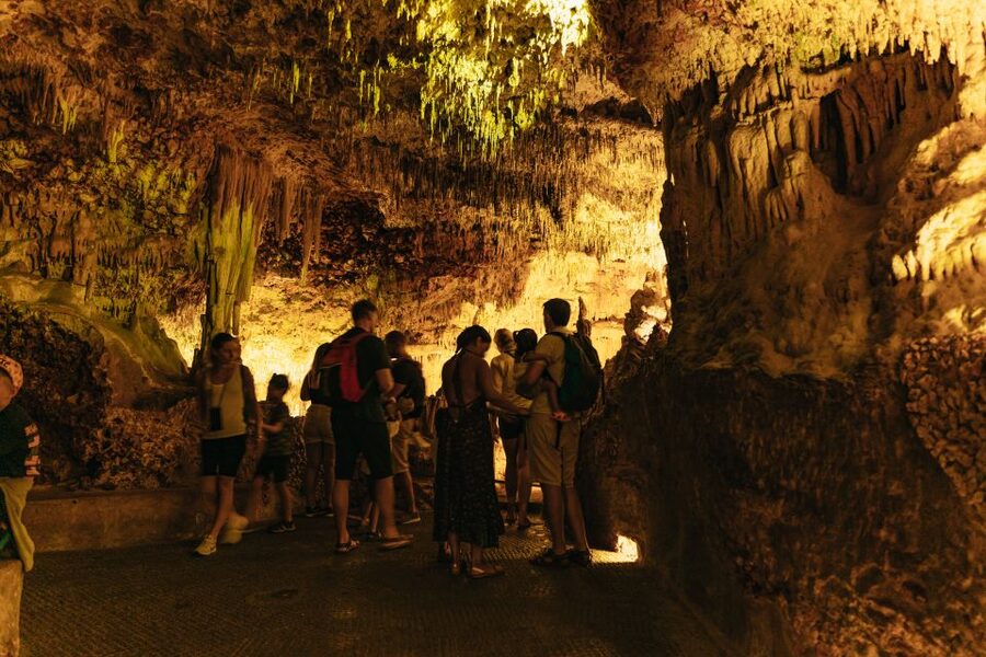 Porto Cristo: Caves of Hams Entry Ticket - The main cave galleries and curious rock formations