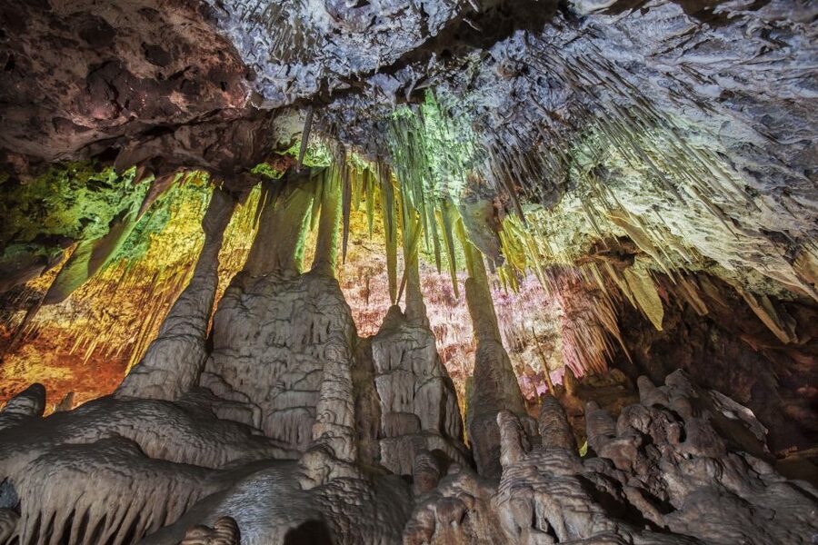Porto Cristo: Caves of Hams Entry Ticket - The Round Cave and its small botanical garden