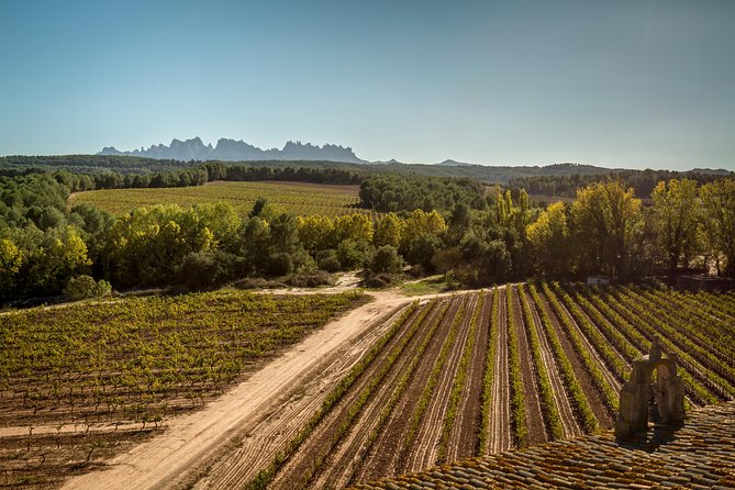 Premium Montserrat & Wine Full Day Tour from Barcelona - Timing, comfort, and what to bring