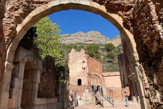 Priorat tour to 3 small wineries and hotel pick-up - Celler Devinssi finishes among old vines