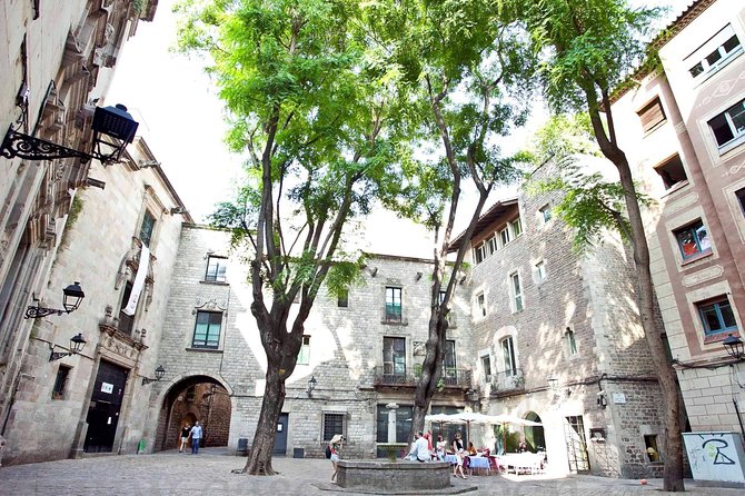 Private Barcelona Old Town and Gothic Quarter Walking Tour - Starting at Plaça de Catalunya and entering Ciutat Vella