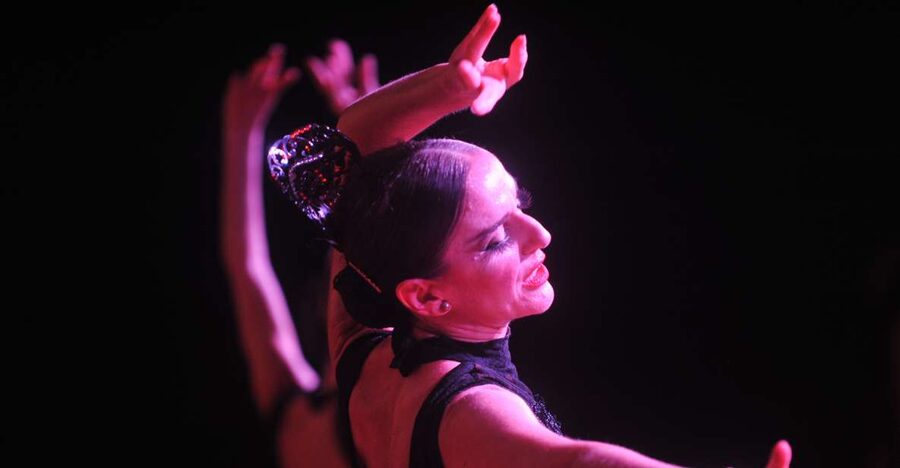 Puerto de la Cruz: Flamenco Show at Casa Ábaco with a Drink - The mansion is more than a backdrop