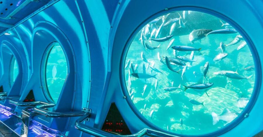 Puerto de Mogán: Submarine Tour - Practical planning tips for Puerto de Mogán