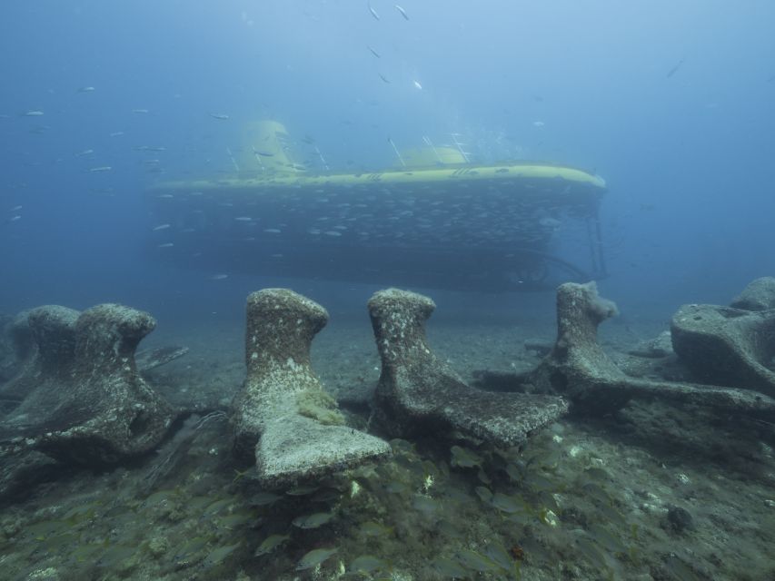 Puerto de Mogán: Submarine Tour - How much value do you get for $45?