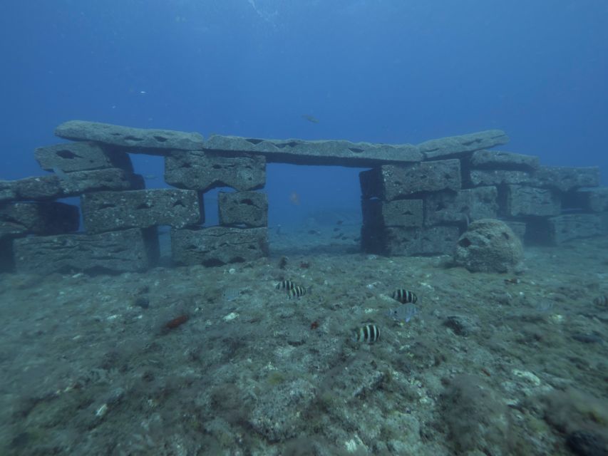 Puerto de Mogán: Submarine Tour - Arriving at the southern dock