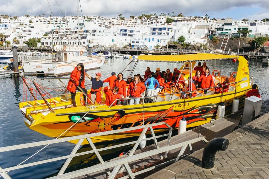 Puerto del Carmen: Dolphin-Watching Speedboat Tour with Swim - Seeing Lanzarote from the southeast coast