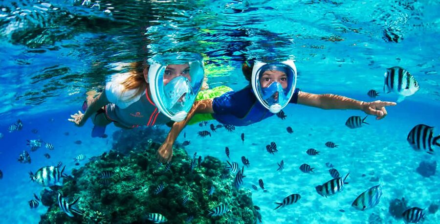 Puerto del Carmen: Dolphin-Watching Speedboat Tour with Swim - Is $41 good value for 90 minutes?