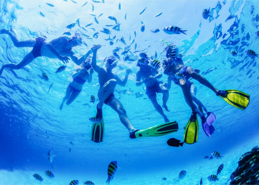 Puerto del Carmen: Dolphin-Watching Speedboat Tour with Swim - Practical tips for a better outing