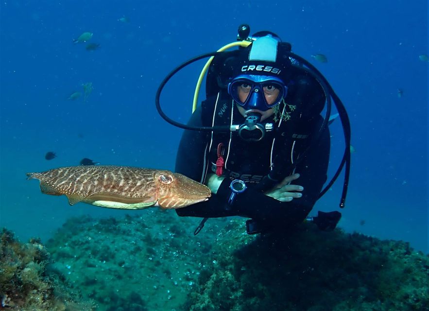 Puerto Del Carmen: Try Scuba Diving with 2 Dives and Photos - The first 6-meter session builds confidence