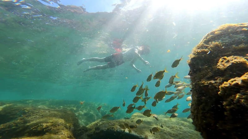 Puerto Mogán: Guided Adventure Kayak Tour in Caves & Snorkel - The pre-launch kayak lesson matters