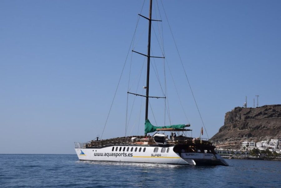 Puerto Rico : 2 hour Dolphin Catamaran Excursion - Key points before you book