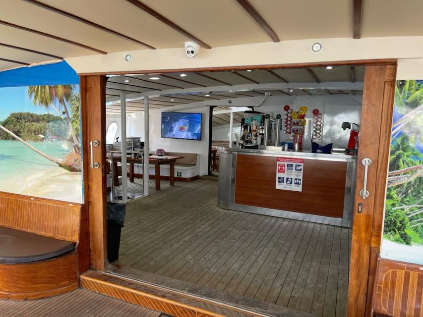 Puerto Rico : 2 hour Dolphin Catamaran Excursion - Should you book the Puerto Rico dolphin catamaran?