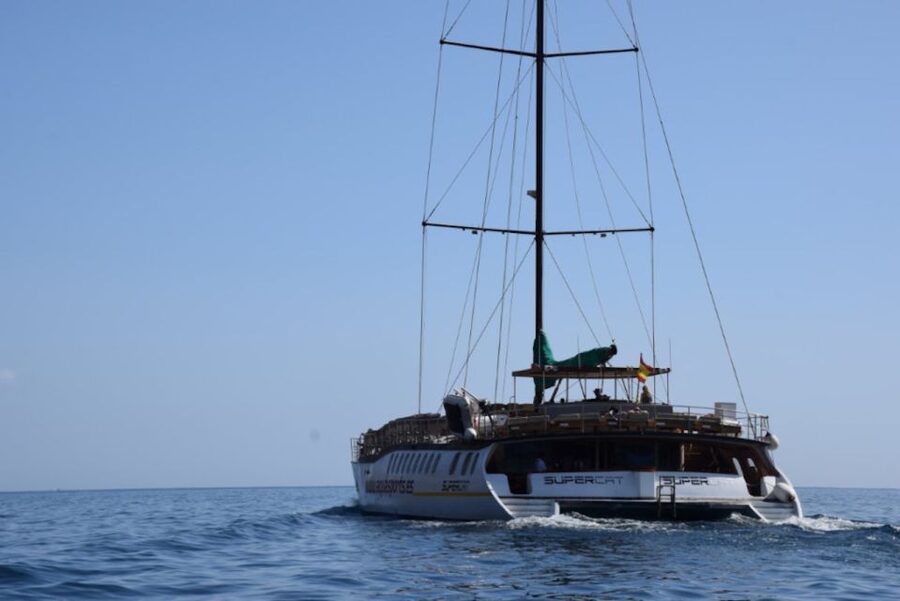 Puerto Rico : 2 hour Dolphin Catamaran Excursion - Setting out from Puerto Rico’s Puerto Base