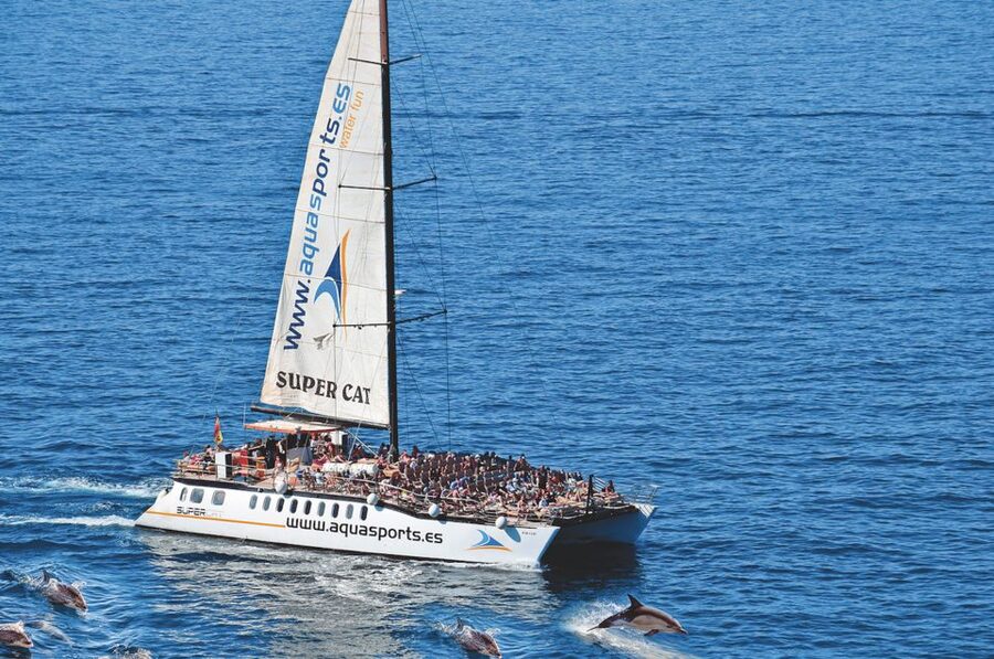 Puerto Rico : 2 hour Dolphin Catamaran Excursion - What you might see from the catamaran