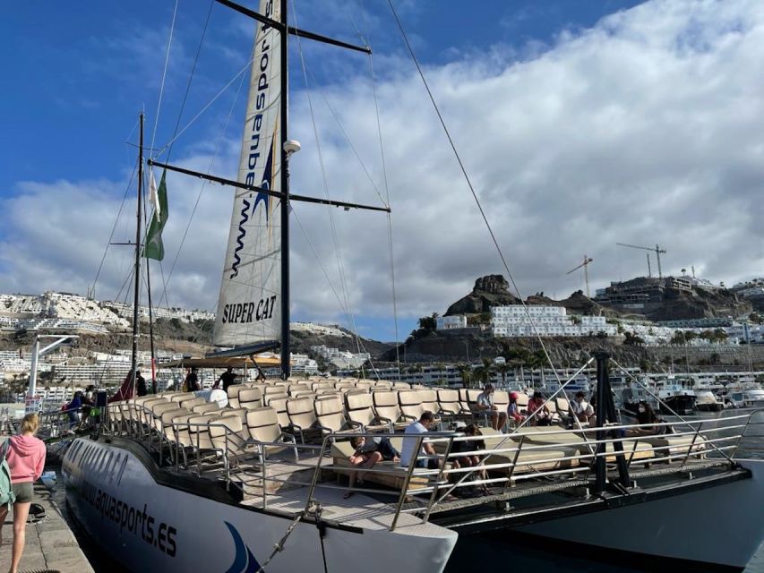 Puerto Rico : 2 hour Dolphin Catamaran Excursion - Comfort, crew, and the onboard bar