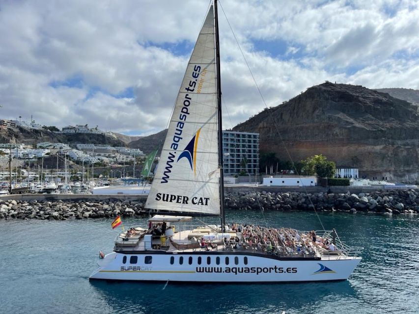 Puerto Rico : 2 hour Dolphin Catamaran Excursion - The sea-sickness question