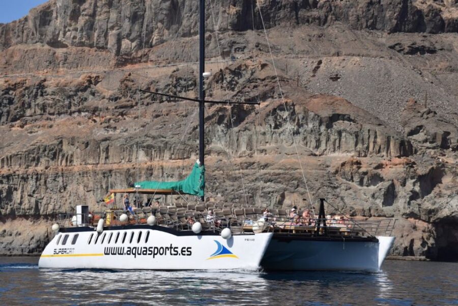 Puerto Rico : 2 hour Dolphin Catamaran Excursion - Is $41 a fair price?
