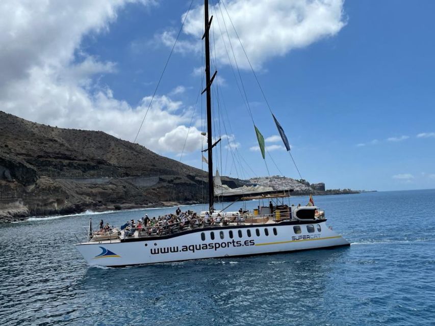 Puerto Rico : 2 hour Dolphin Catamaran Excursion - Who will enjoy this catamaran trip most?