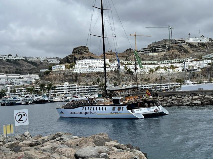 Puerto Rico : 2 hour Dolphin Catamaran Excursion - Booking tips that make the trip easier