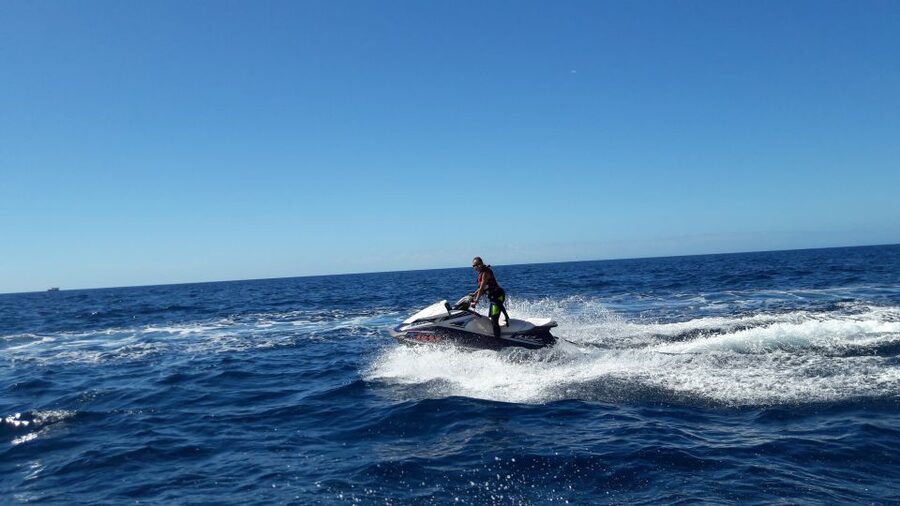 Puerto Rico de Gran Canaria: Jetski Tour - Wildlife sightings without false promises