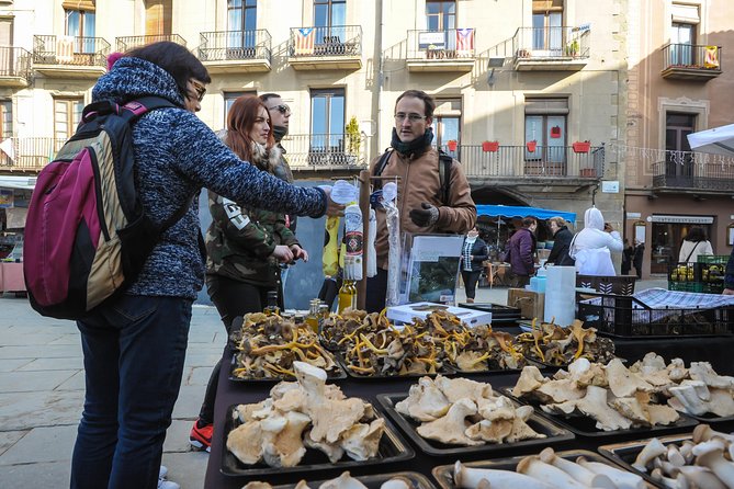 Pyrenees & Medieval Towns Small Group Tour from Barcelona - Vall de Núria: choose your own mountain afternoon