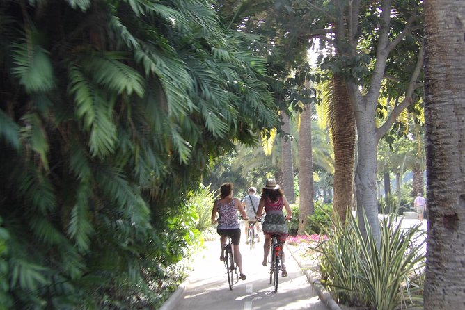 Rent a City Bike: Full Day 24 hours - Starting in SOHO, Málaga’s useful launch point