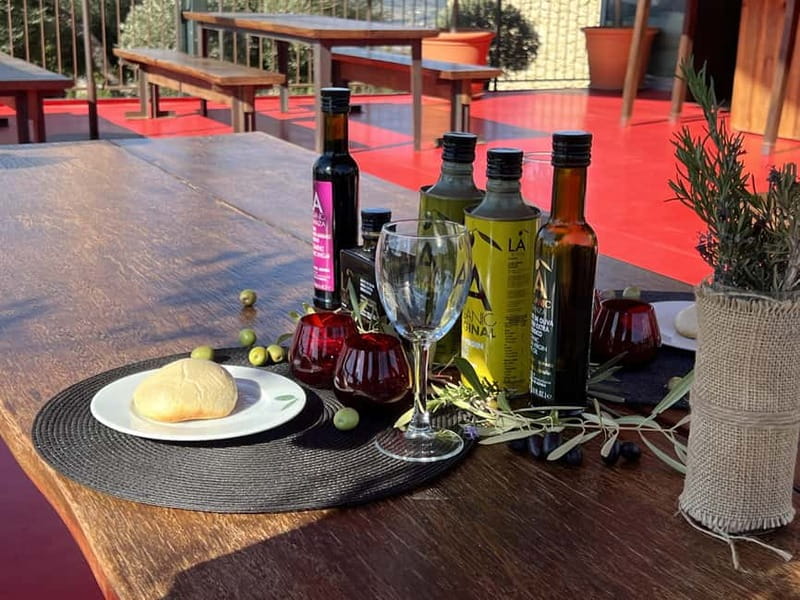 Ronda: LA Almazara LA Organic, Olive Oil Museum and Tasting - Arriving at the LA Organic Country House
