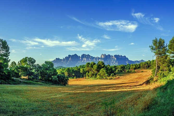 Sagrada Familia & Montserrat Small Group Tour with Hotel pick-up - Passeig de Gràcia Shows Barcelona’s Modernist Side