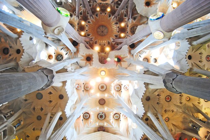 Sagrada Familia Private Guided Tour with Skip the Line Tickets - Skip-the-line entry and the limits of the promise