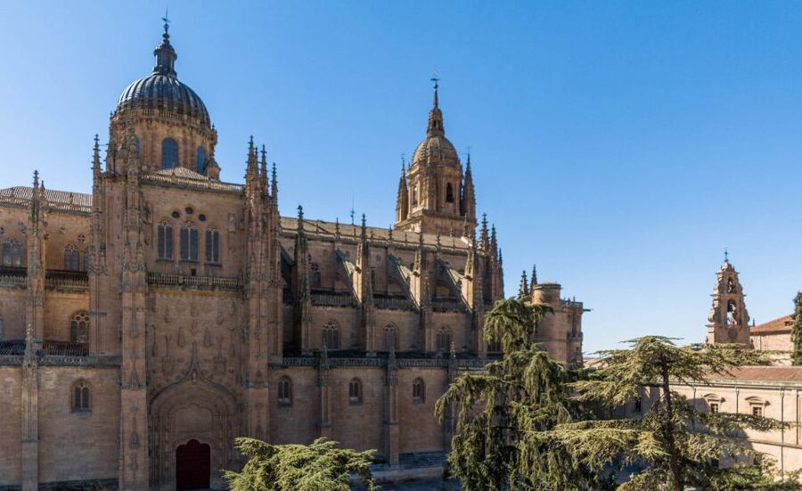 Salamanca: Cathedral of Salamanca Ticket with Audio Guide - Taking time with the 53-panel retablo Mayor