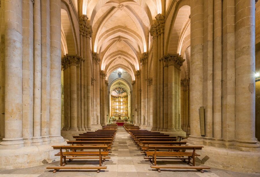 Salamanca: Cathedral of Salamanca Ticket with Audio Guide - The VR experience and extra access