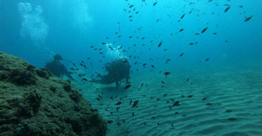 Salou: Scuba Diving for Beginners - Your first 20 minutes: from Salou hotel to the beach