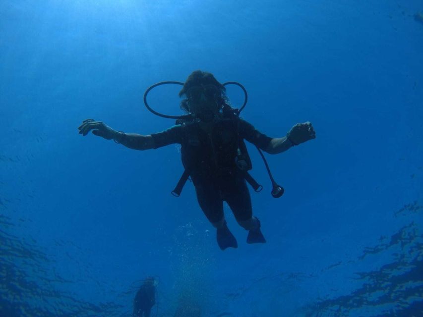 Salou: Scuba Diving for Beginners - The 105-minute Salou session and what you may see