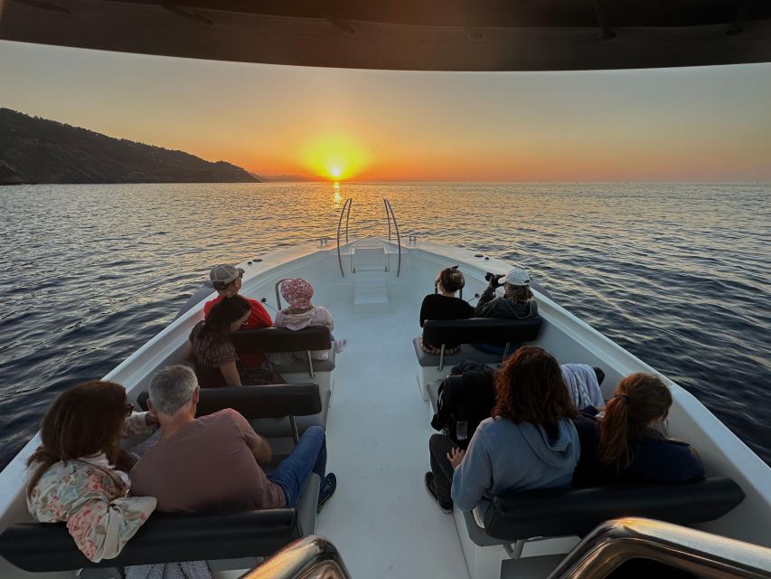 San Sebastian: 2 Bays Evening or Sunset Boat Tour with Cava - Finding the brown boat at Mollaberria Kalea