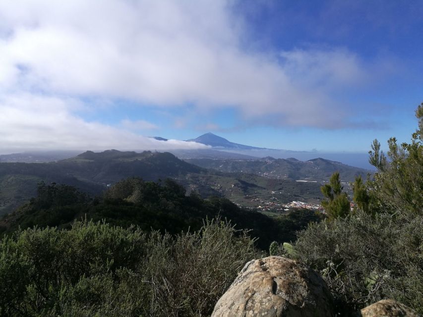 Santa Cruz de Tenerife: 2-Hour Hiking Tour in Anaga Forest - Key points to know before walking Anaga