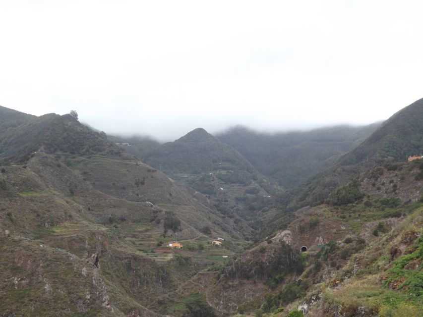 Santa Cruz de Tenerife: 2-Hour Hiking Tour in Anaga Forest - A gentle route through the laurel trees
