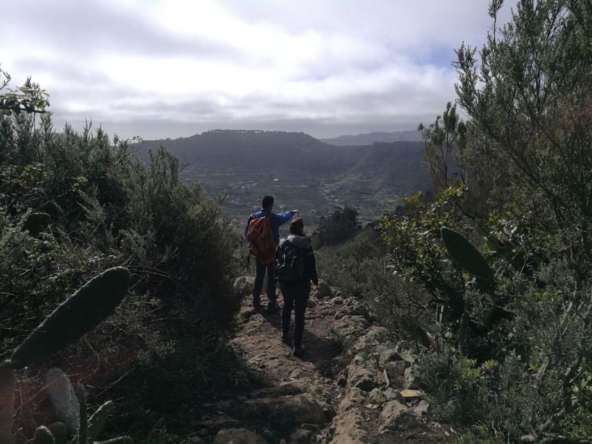 Santa Cruz de Tenerife: 2-Hour Hiking Tour in Anaga Forest - What the guide adds to a short hike