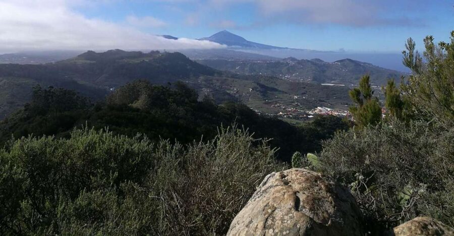 Santa Cruz de Tenerife: 2-Hour Hiking Tour in Anaga Forest - Meeting Angel and setting out from La Laguna