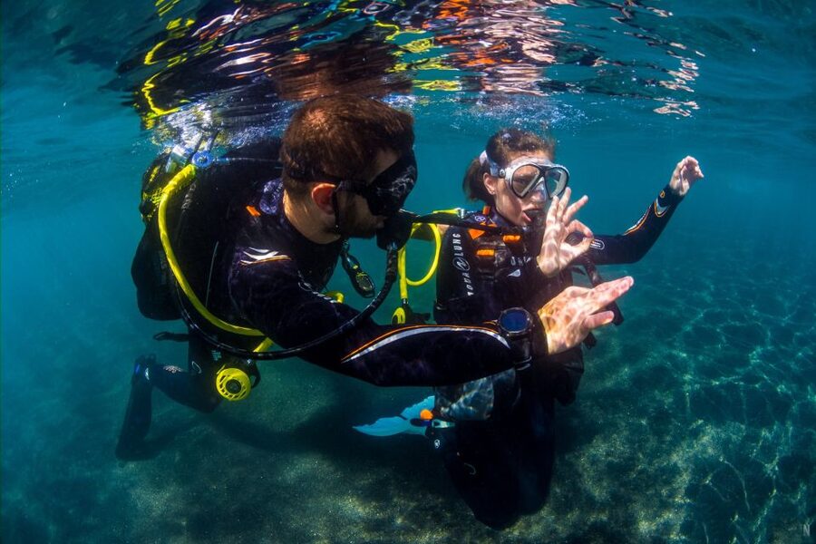 Santa Cruz de Tenerife: Beginner's Diving & Introduction - Key points to know before booking